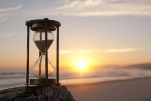 Što ovisi o očekivanom životu životinja? Što ovisi o očekivanom životu životinja?